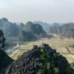 Rizières de la Baie d'Halong terrestre (Tam Coc)