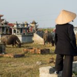 Le repos éternel, avec les buffles en plus ! (Tam Coc)