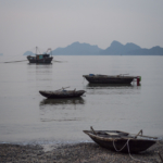 Bateaux sur les côtes de Cat Ba Island