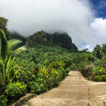 Piton volcanique dans la brume (Moorea)