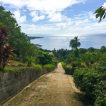 Vue sur la baie d'Opunohu (Moorea)