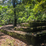 Marae sur le sentier des ancètres (Moorea)