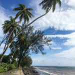 Plage de sable noir devant le musée de Tahiti et des îles (Punaauia, Tahiti)