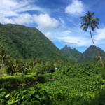 Magnifique paysage verdoyant près de Tautira (Tahiti)