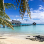 Pilotis sur le lagon (Fakarava)