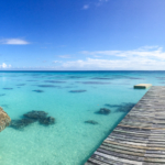 Moment de détente au Snack du requin dormeur (Fakarava)