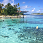 Les requins pointes noires rodent (Tetamanu, Fakarava)