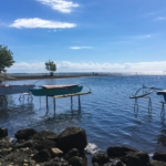 Embarcations polynésiennes traditionnelles (Tahiti)