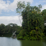 Ilot tropical au Botanic Garden de Singapour