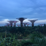 Les arbres metalliques de Garden by the Bay (Singapour)