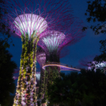 Lumières sur Garden by the bay à la tombée de la nuit (Singapour)