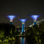 Lumières de la nuit (Garden by the Bay, Singapour)