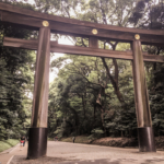 Magnifique Torii du Meiji-Jingu (Tokyo)