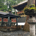 Bien installé dans la fôret (Nikko)