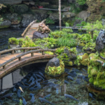 De jolies carpes bleues dans les bassins d'Oshino Hakkai