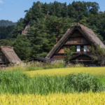 Les toits au style gasshô (Shirakawago)