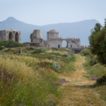 Paysage champêtre (Chateau de Methoni)