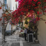 Magnifiques bougainvilliers (Nafplio)