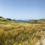 Sur la route de Plaka (Milos)