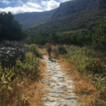 Promenons nous dans les bois... (Amorgos)