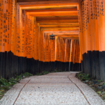 Tunnel de Torii au Fushimi Inari Taisha Shrine (Kyoto)