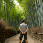 Balade dans la Bambouseraie de Arashiyama (Kyoto)