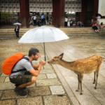 Sky fait connaissance avec les locaux (Nara)