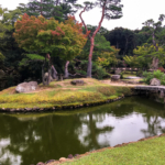 Jolis payasages dans le grand parc de Nara
