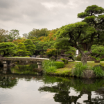 Le parc Oyashiki est un vrai Jardin Japonais traditionnel (Himeji)
