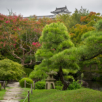Balade dans les jardins proches du chateau (Himeji)